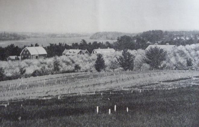 Nova Scotia rural landscape 1930
