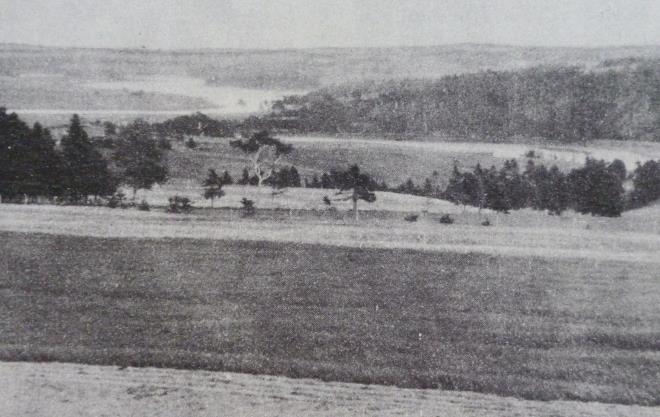 Prince Edward Island landscape 1930 (2)